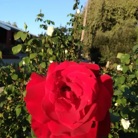 Il Turchese Bed & Breakfast *