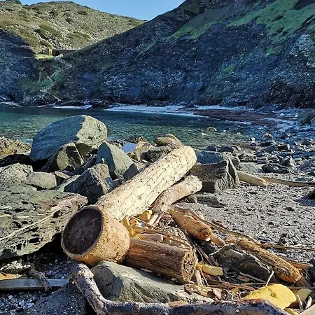 Il Turchese Palmadula